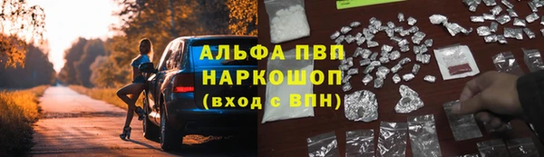 дживик Снежногорск