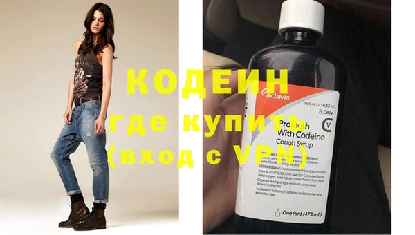дживик Снежногорск