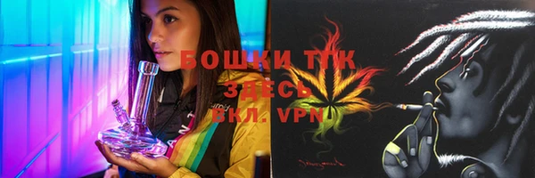 дживик Снежногорск