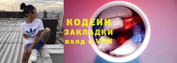 дживик Снежногорск