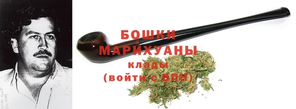 дживик Снежногорск