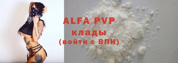 дживик Снежногорск