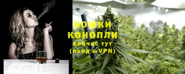 дживик Снежногорск